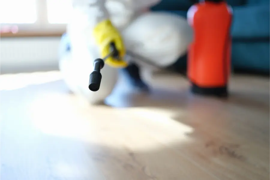 Evaluating Mold Remediation Services for Insulation Systems Burlington, WA Evaluating Mold Remediation Services for Insulation Systems Burlington, WA