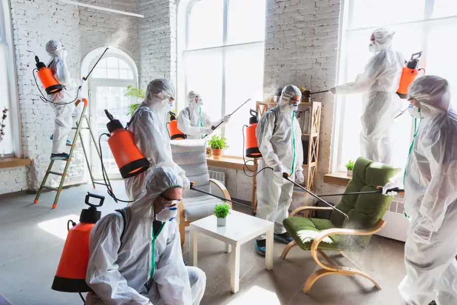 Mold Remediation Services