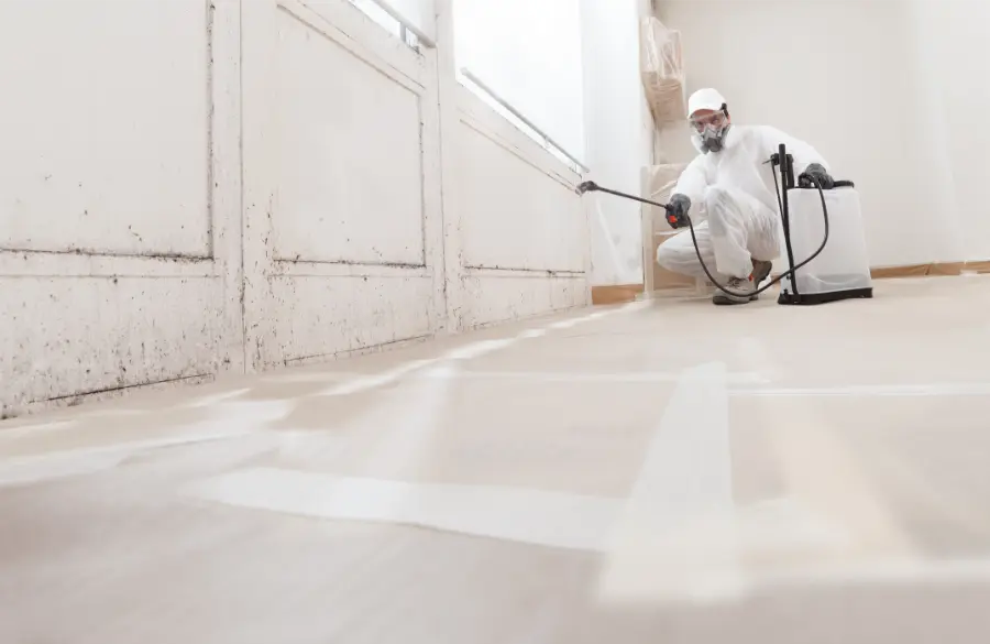 Why Mold Remediation Services Supports Home Insulation Burlington, WA