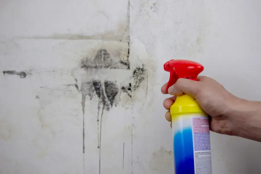 Why Mold Remediation Services Supports Home Insulation in Burlington, WA